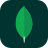 Visit official MongoDB website